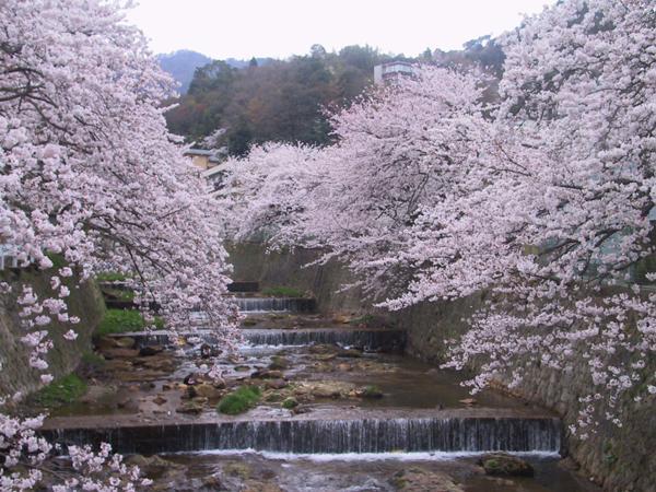 Kadonobo Ryokan Kobe Luaran gambar